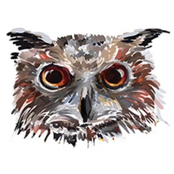 wiseowlfashions